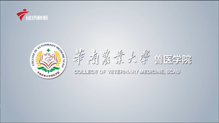 华南农业大学兽医学院2021年宣传视频