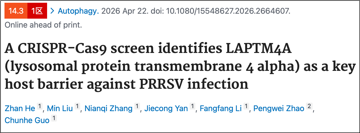 华南农业大学郭春和教授课题组在猪繁殖与呼吸综合征(PRRS)研究领域取得新进展