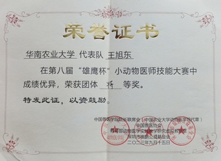 王旭东-第八届“雄鹰杯”小动物...