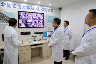 薛红卫校长带队开展实验室安全检查