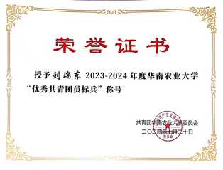 刘瑞东-优秀共青团员标兵