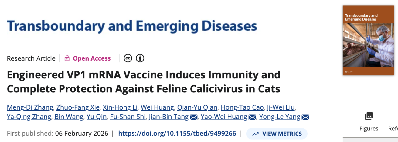 国内外首次报道！兽医学院研究生参与研发猫杯状病毒mRNA候选疫苗