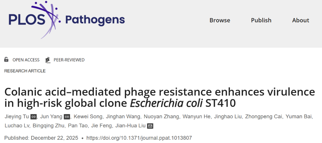 兽医学院博士研究生在噬菌体研究领域取得新进展