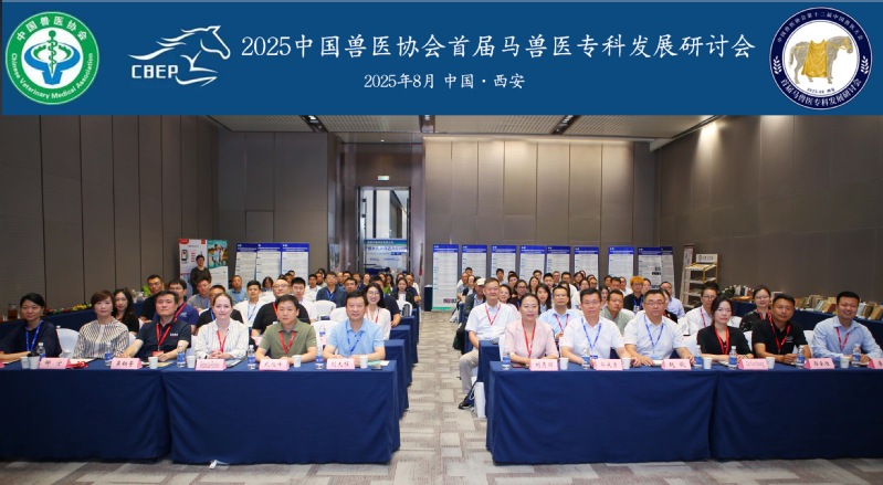学院紫荆马协成员在2025中国兽医协会首届马兽医专科发展研讨会中荣获佳绩